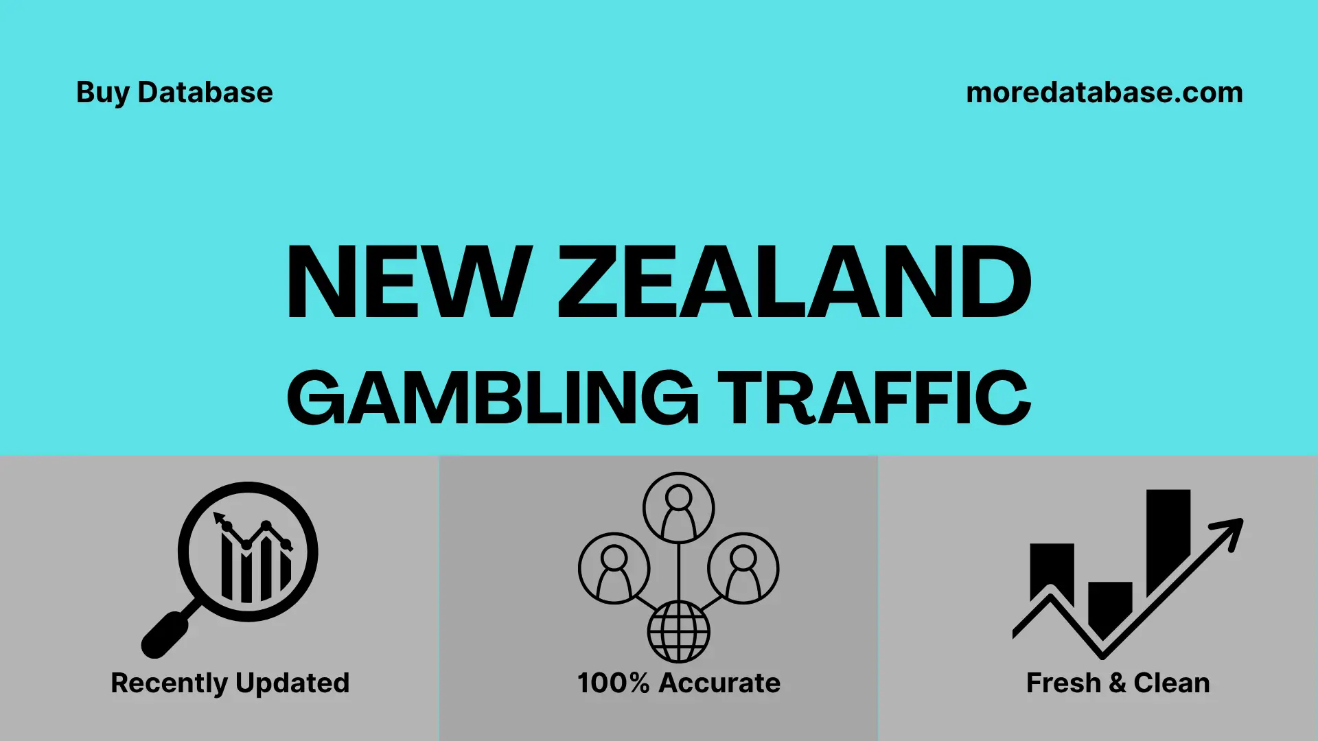 New Zealand Gambling Traffic